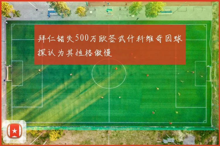 拜仁错失500万欧签武什科维奇因球探认为其性格傲慢