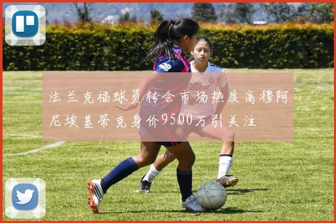法兰克福球员转会市场热度高穆阿尼埃基蒂克身价9500万引关注
